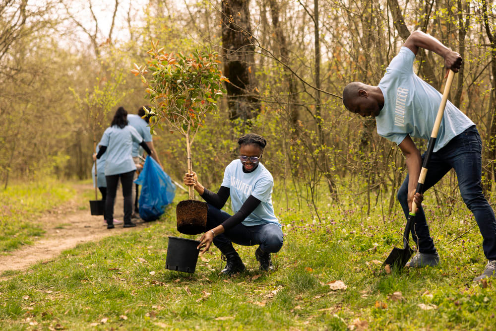 Environmental Responsibility